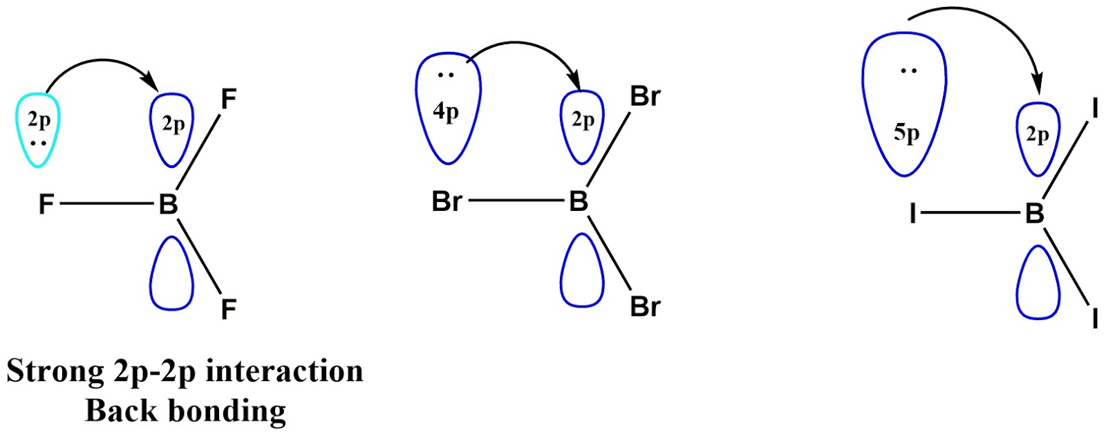 BORON FOR UNDERGRADUATES