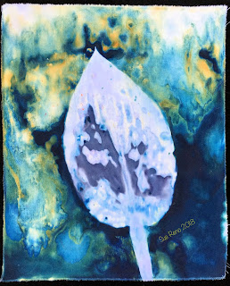 Wet cyanotype_Sue Reno_Image 491