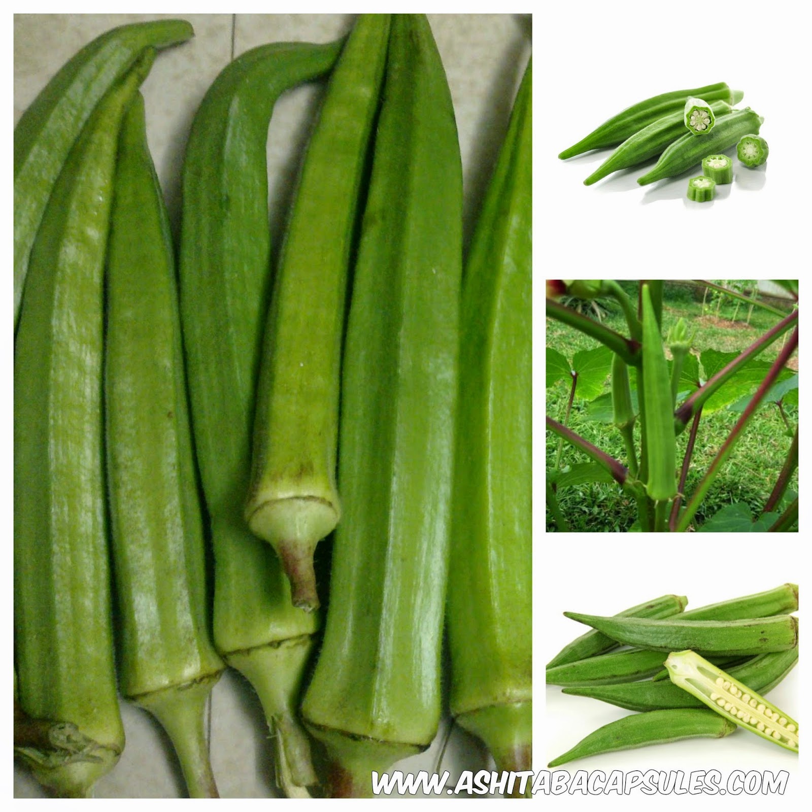 Ashitaba Health Benefits of Lady Finger (Okra)