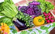 and clean vegetables and clean vegetables