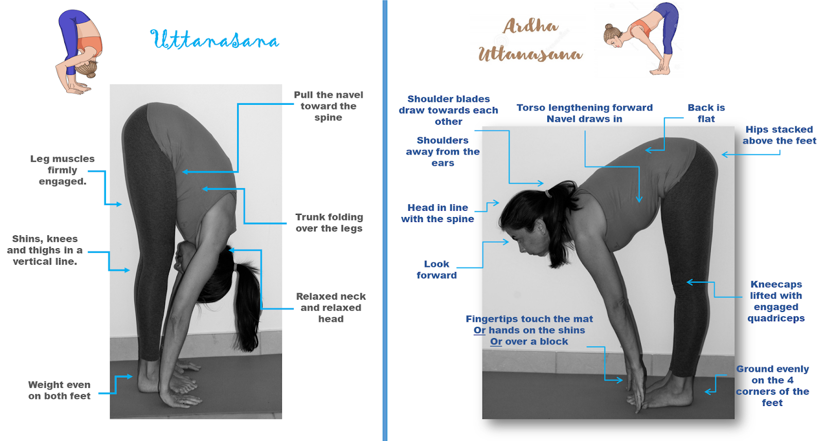 Ardha Uttanasana (Standing Half Forward Bend Pose)