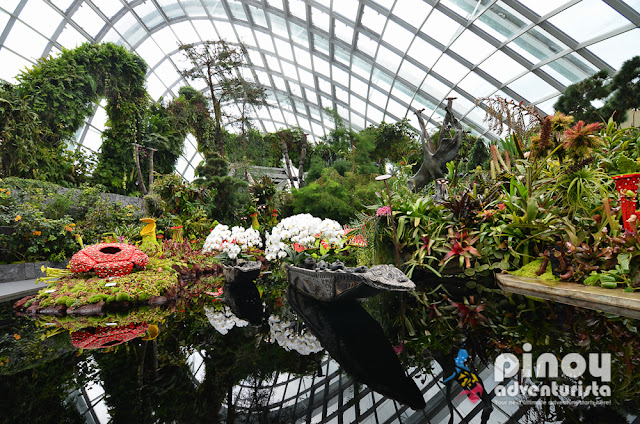 What to do in Singapore Gardens by the Bay Blog