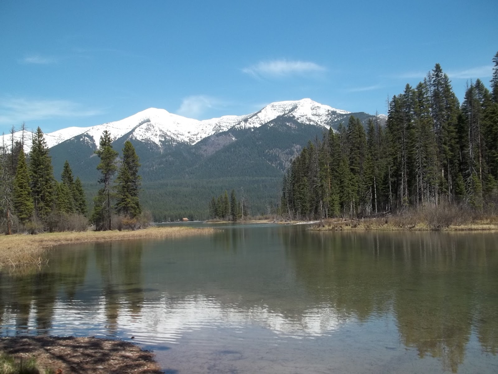 Holland Lake Campground Beautiful Picture from the Boat Launch at