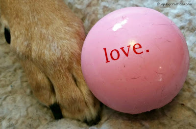 dog paw with ball