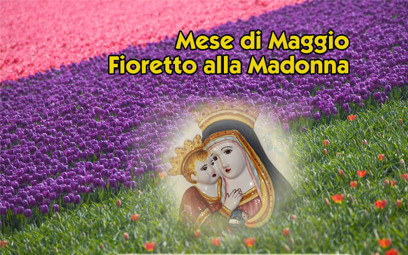 Il Paradiso non può attendere: MESE DI MAGGIO - MESE DI MARIA E DELLE ROSE