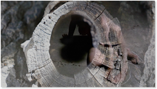 © Marion Luise Buchmann_aus dem KunstVideo „Fragmente einer Wandlung“ von 2009 Marion Louise Buchmann