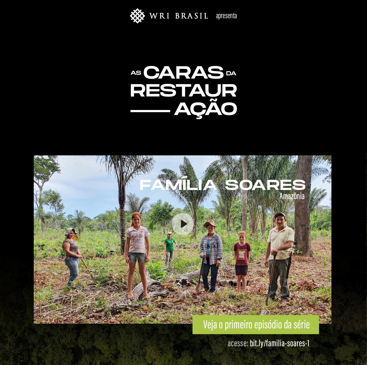 Agricultores em Juruti são tema de websérie sobre restauração florestal com uso de SAFs