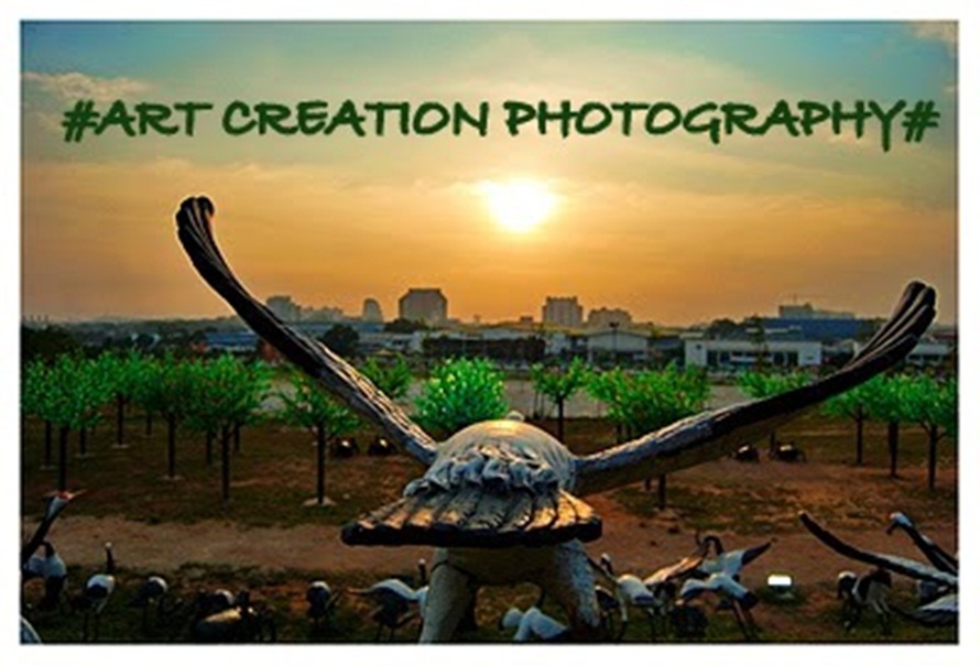 Art Creation Photography