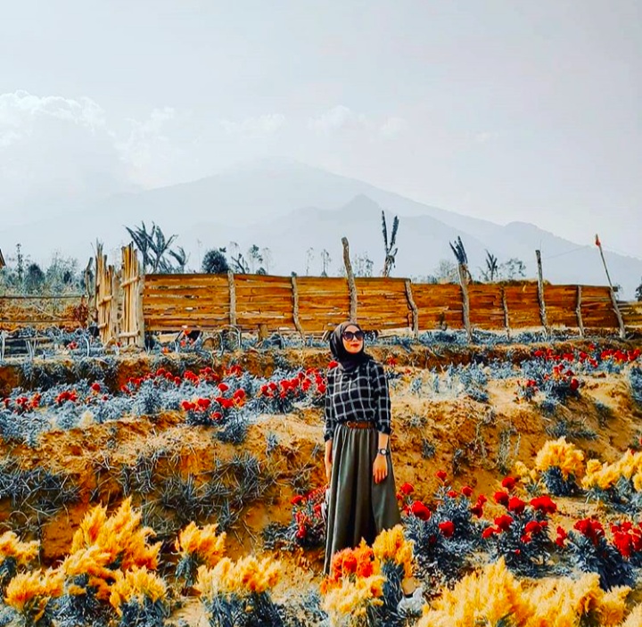 Tempat Wisata Di Kuningan Taman Bunga Celosia Gunung Keling Kuningan Youtube
