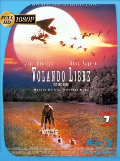 Volando a casa [1997] HD [1080p] Latino [GoogleDrive] SXGO