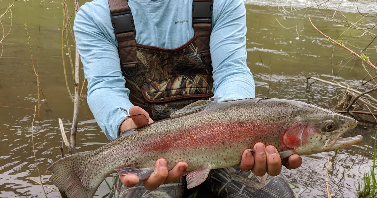 First Cast Fly Fishing Fort Collins Fly Fishing Lessons Nymph Fishing