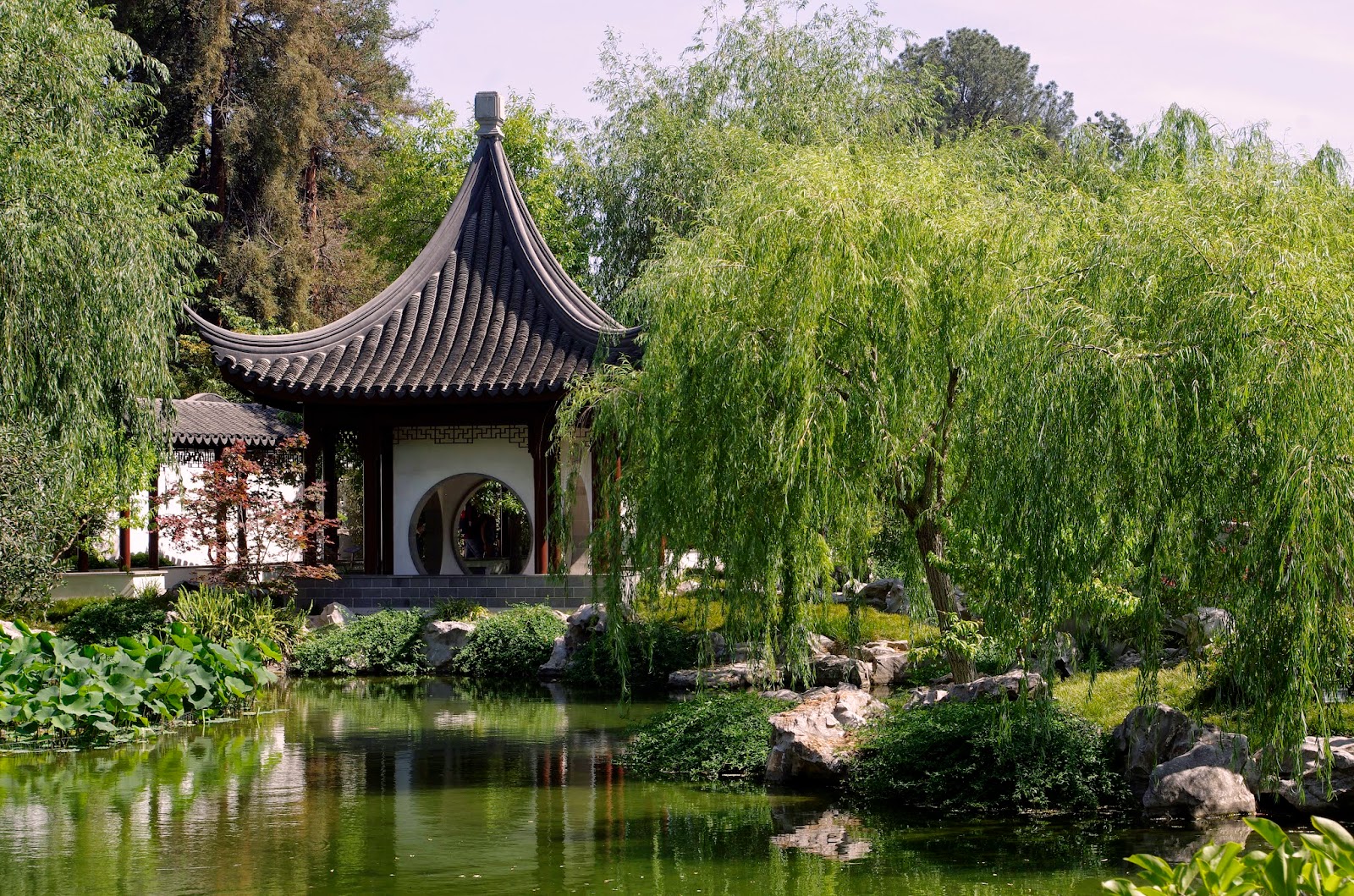 Dr. John's Record Shelf & Photo Gallery Huntington Gardens