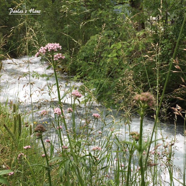 Schneiderherz Page 2 Chan 35746381 Rssing Com