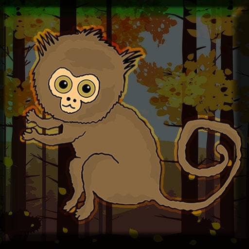 Pygmy Marmoset Escape Walkthrough