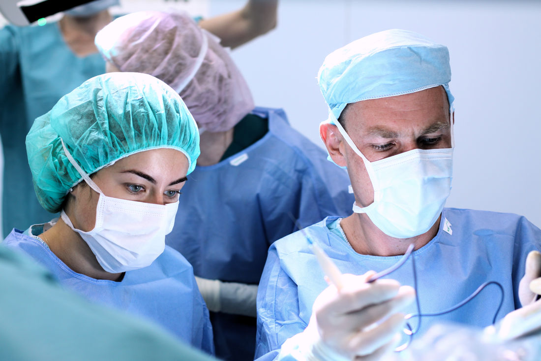 полипы ростов на дону. ростов 1 областная больница. днепровский 122 кдц. полипы ростов на дону. полипы на ракушках.