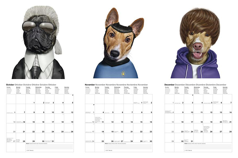 pets rock karl lagerfeld spock and beiber