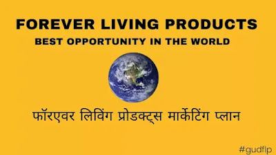 Forever Living Products Marketing Plan Hindi