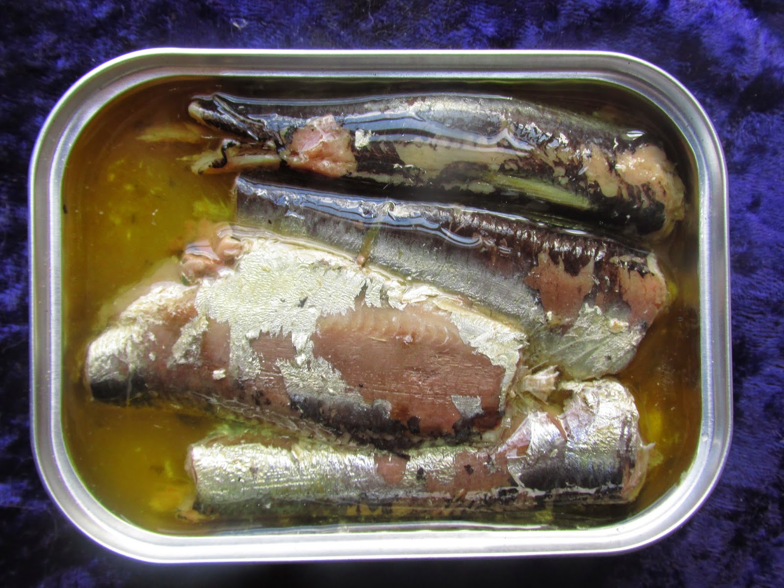 Mouth Full of Sardines BULLDOG 12