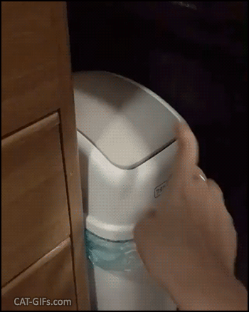 Funny Cat GIF • Sneaky cat hidden in trash can attacks his human. “Don't touch my fort!” Funny Cat GIF • Sneaky cat hidden in trash can attacks his human. “Don't touch my fort!”