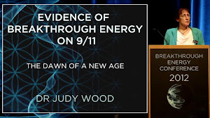 2012 Holland, Dr. Judy Wood's Presentation [ click pic ]