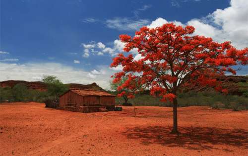 Featured image of post Paisagem Do Nordeste / Savesave paisagem e turismo no nordeste do brasil for later.