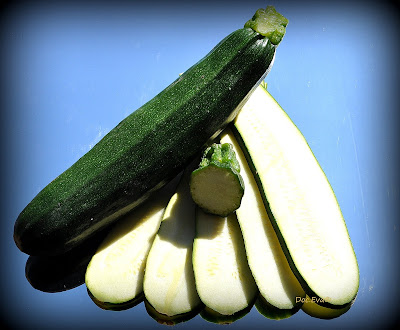 Zucchini (Cucurbita pepo)