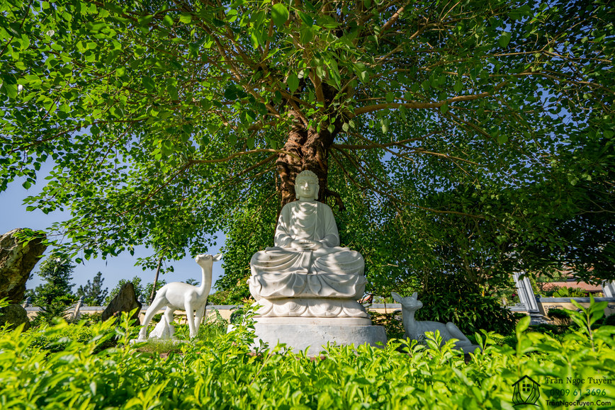 Chùa Đại Từ Ân trong khu sinh thái Đan Phượng The Phoenix Garden