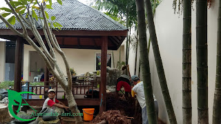 JASA BUAT RELIEF JASA PEMBUATAN KOLAM RELIEF DI BEKASI