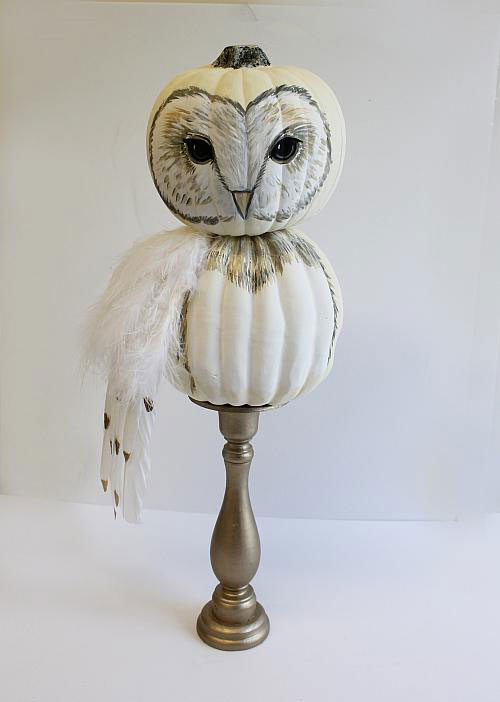 My Owl Barn 10 Creative NoCarve Pumpkin ideas