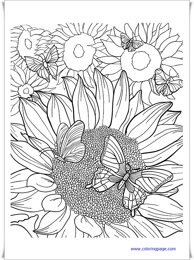 27+ paint by number coloring book & color by number Coloring book pdf