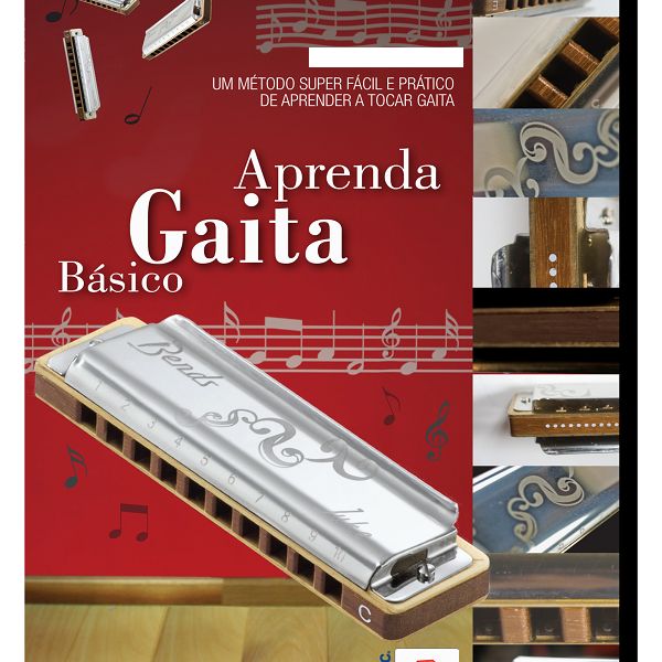 Aula de Gaita no Brasil « Instrumental e Vocal Brasil
