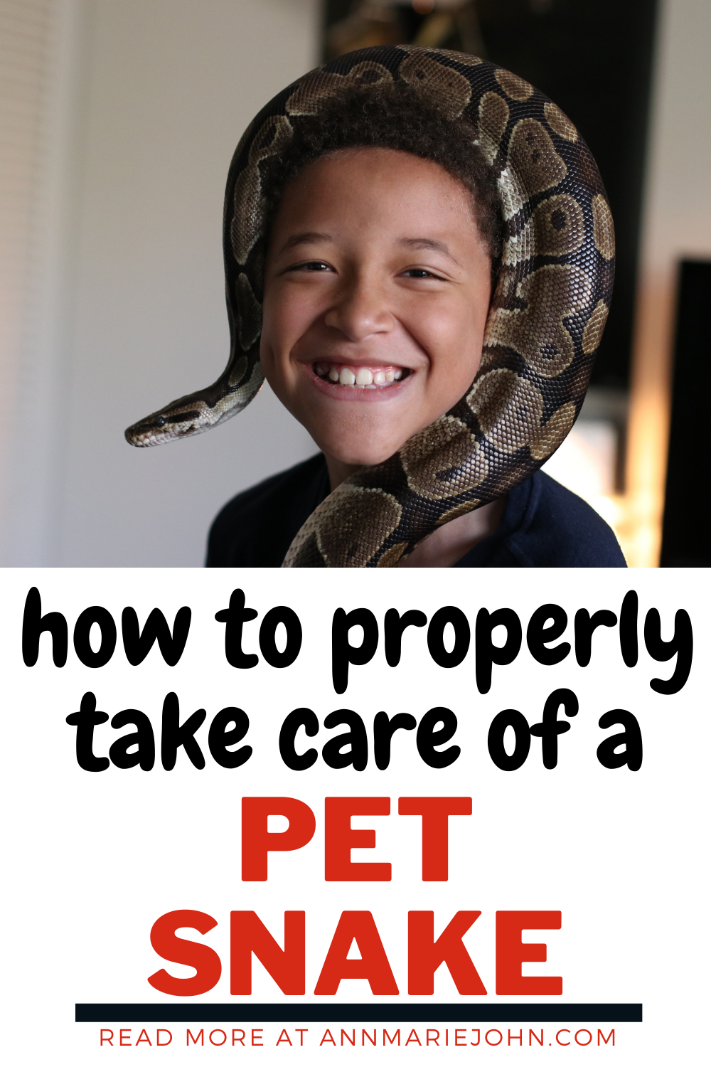 How to Properly Take Care of a Pet Snake How to Properly Take Care of a Pet Snake