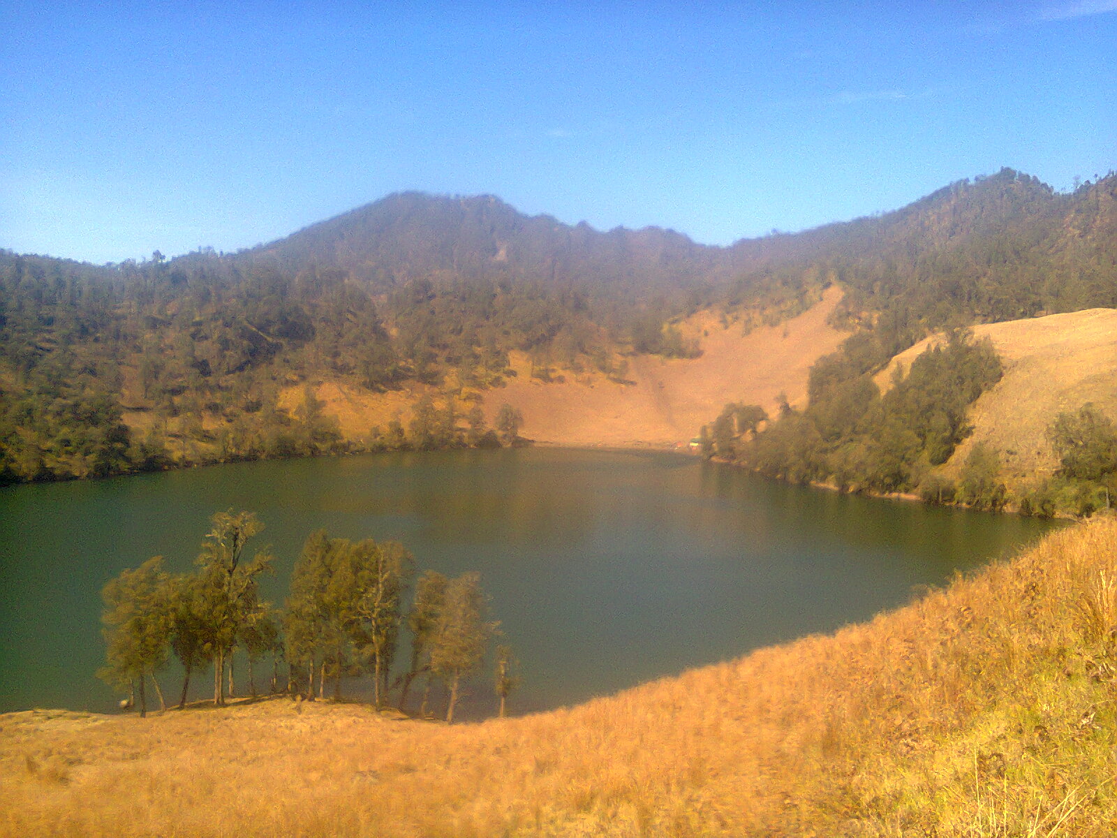Semua Ada Disini !!!!: Ranu Kumbolo, Primadona Gunung Semeru