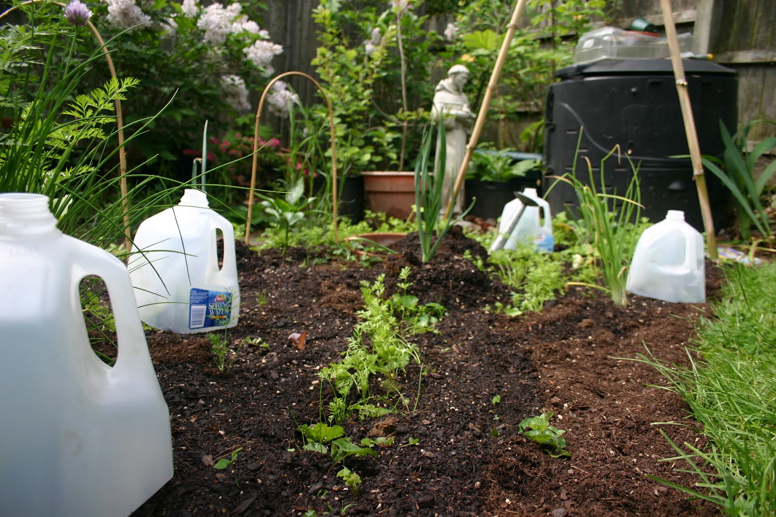 Homestead Crossing Inc's Blog Tips to use recycled plastic jugs in