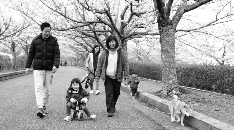 二年目の家族写真出張撮影桜ロケーションフォト in 京都