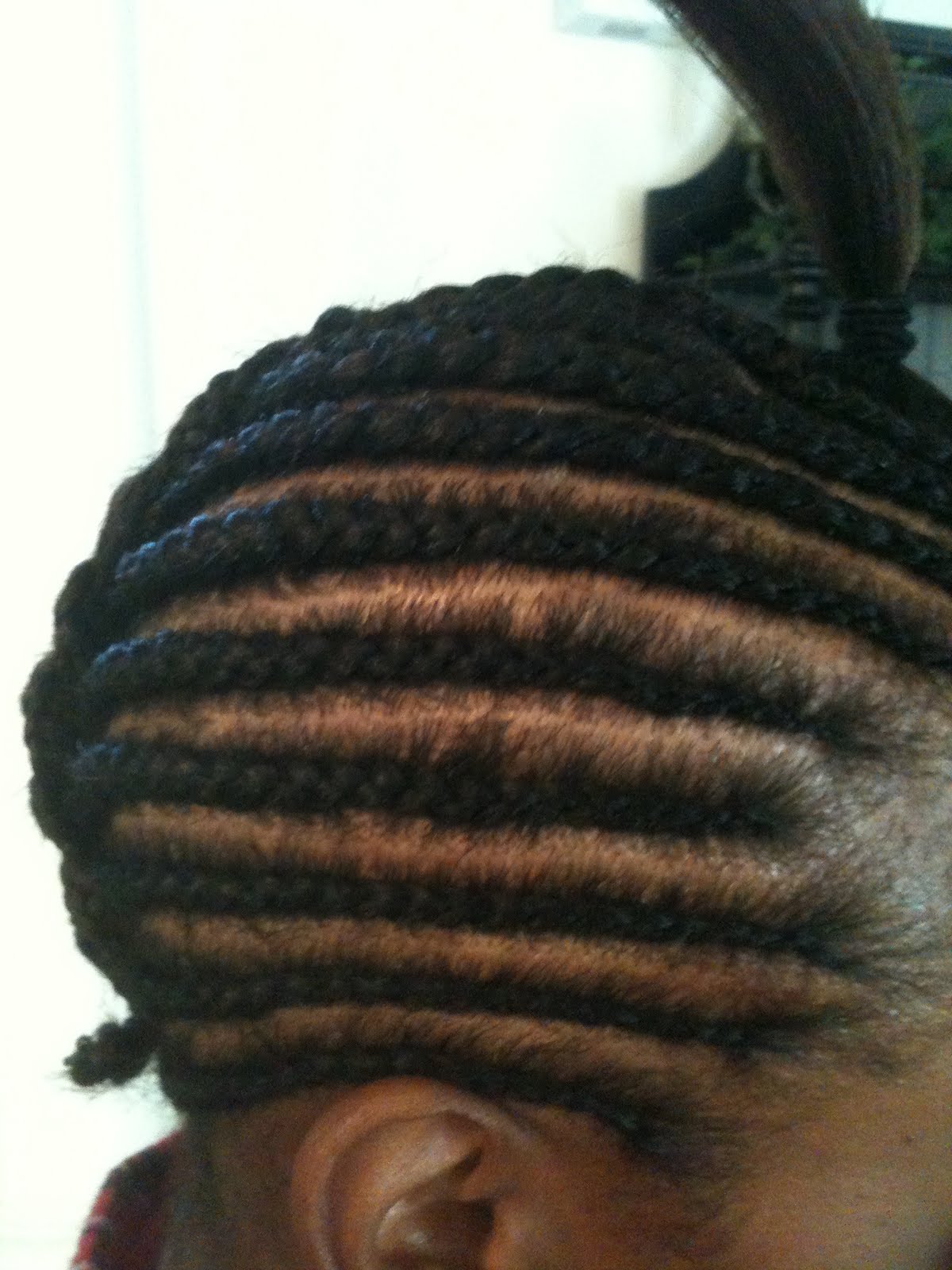 Cornrows Braids Extensions: Cornrows