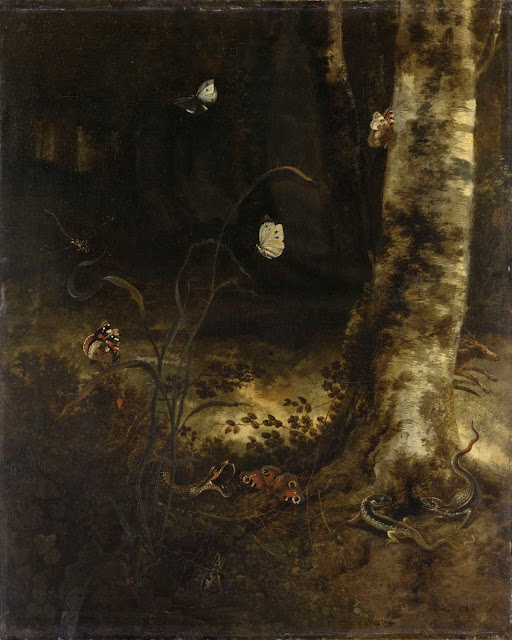 Otto Marseus van Schrieck - Bosgrond met een slang, hagedissen, vlinders en andere insecten