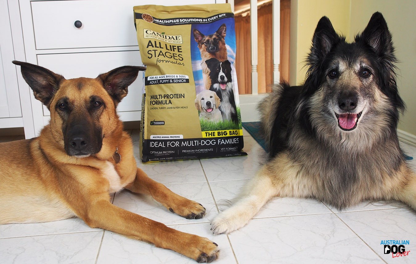 canidae fish dog food