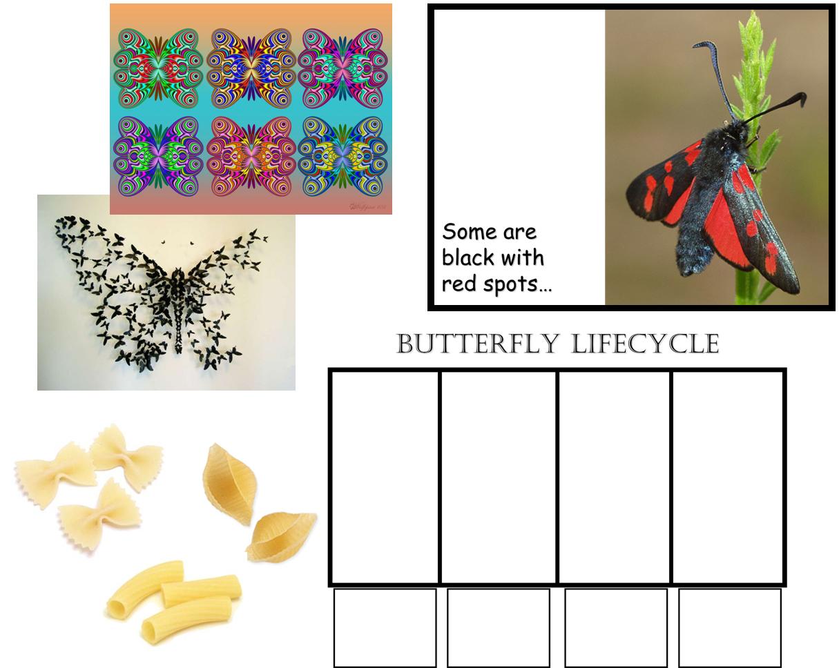Teaching Resource Butterflies Minibeasts Bugs Insects KS1 EARLY YEARS
