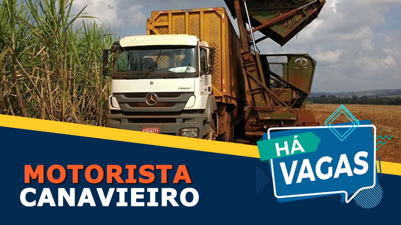 vaga para motorista canavieiro