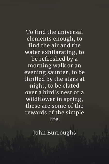 85 Nature quotes that'll inspire to love and value its beauty