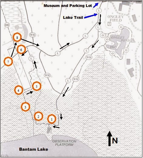 Ice House Ruins Trail Map