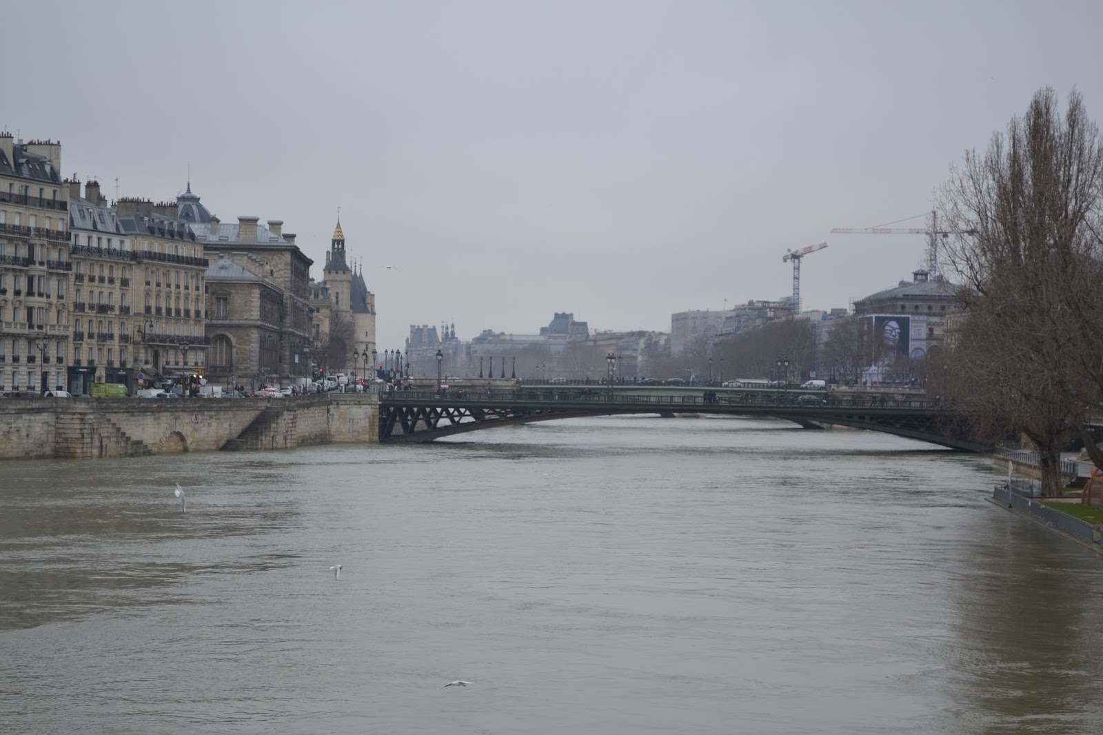 FLE en vrac! La Seine en poésie