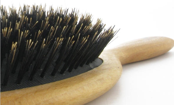 Are Boar Bristle Brushes Bad for Your Hair 