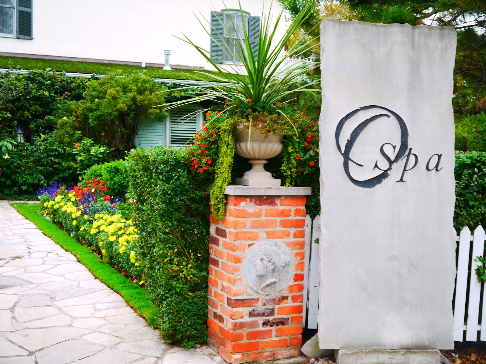 Green Giant Arborvitae And Other Conifers Can Be Sheered For A