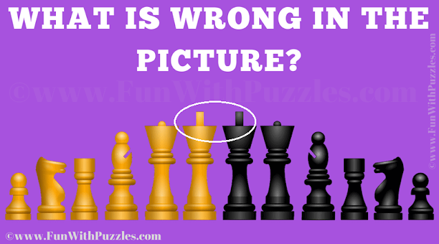 Answer of Find The Mistake Picture Puzzle