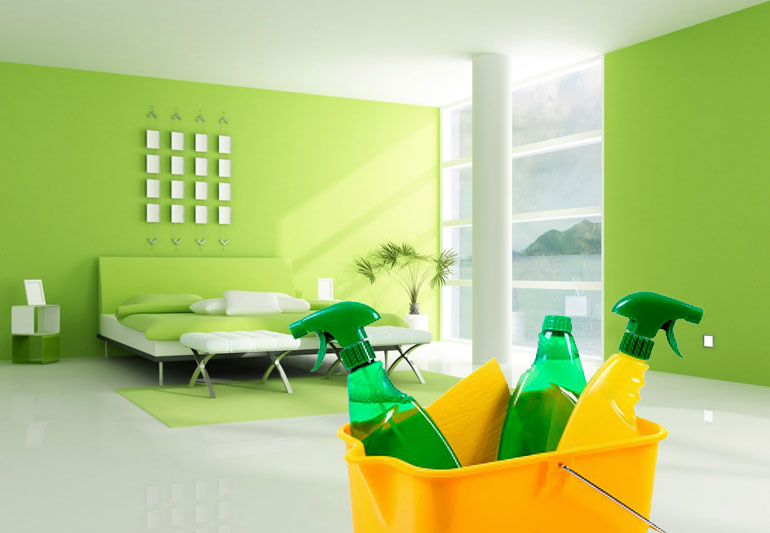 Professional house cleaning services The Quintessential House cleaning companies