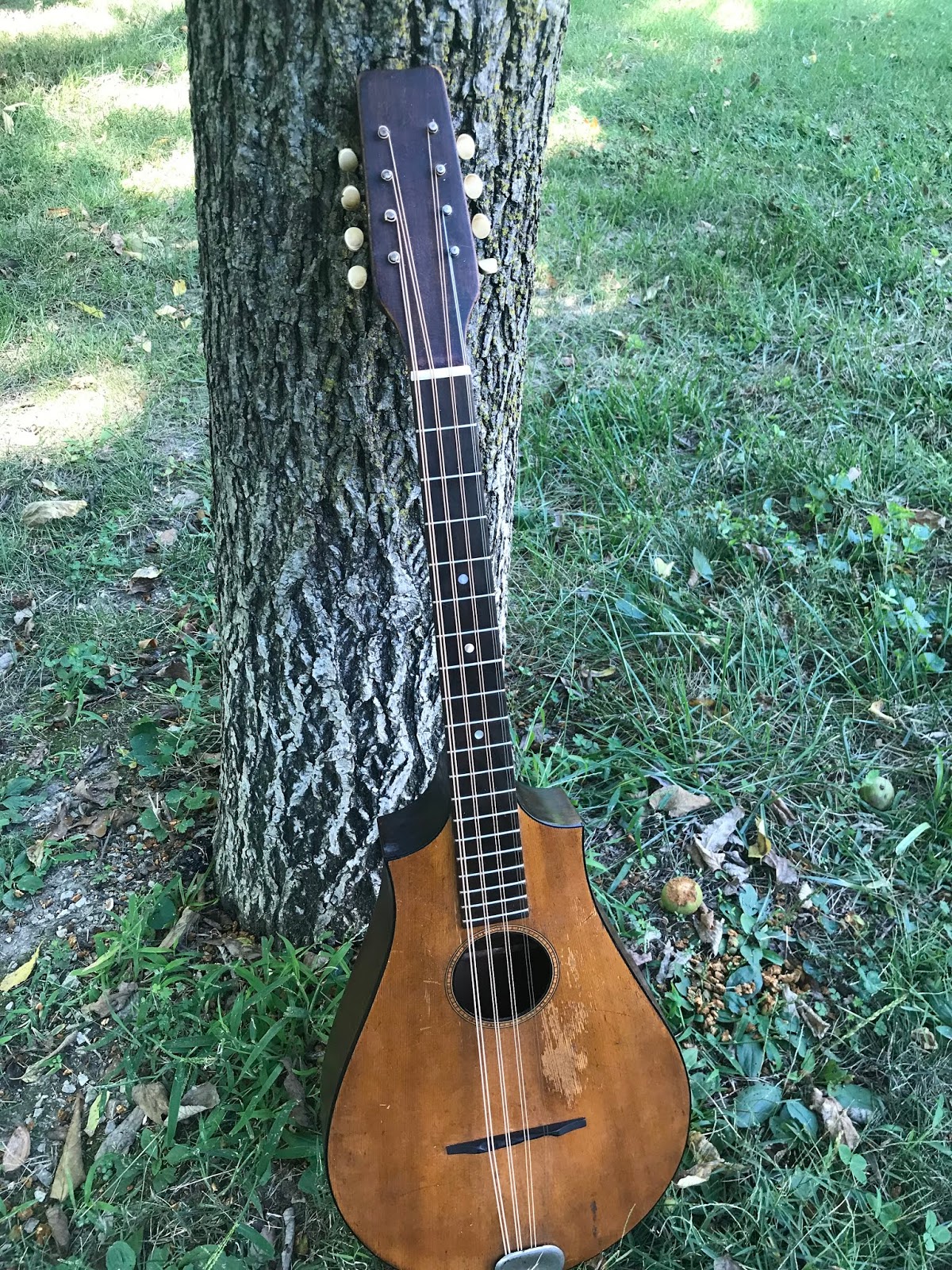 The Regal Octofone The Amateur Luthier
