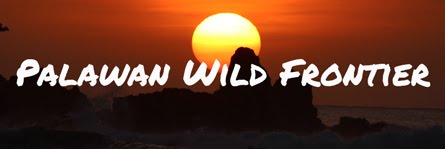  About Palawan Wild Frontier Blog