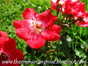 The Enchanting Rose: Rose Petal Jam (img )